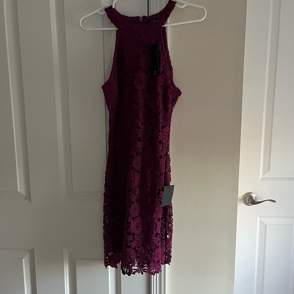 NWT lace mini dress - Picture 4 of 4